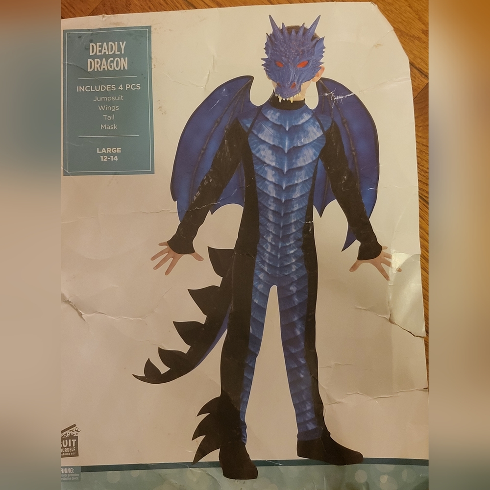 Boys Deadly Dragon 🐉 Costume Size 12-14